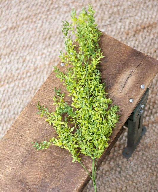 Col House Designs - Lemon Beauty Hanging Bush