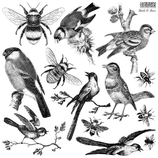 IOD Decor Stamp - Birds & Bees