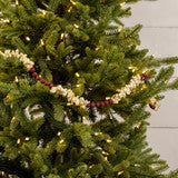 Ragon House - 9’ Popcorn Cranberry Garland