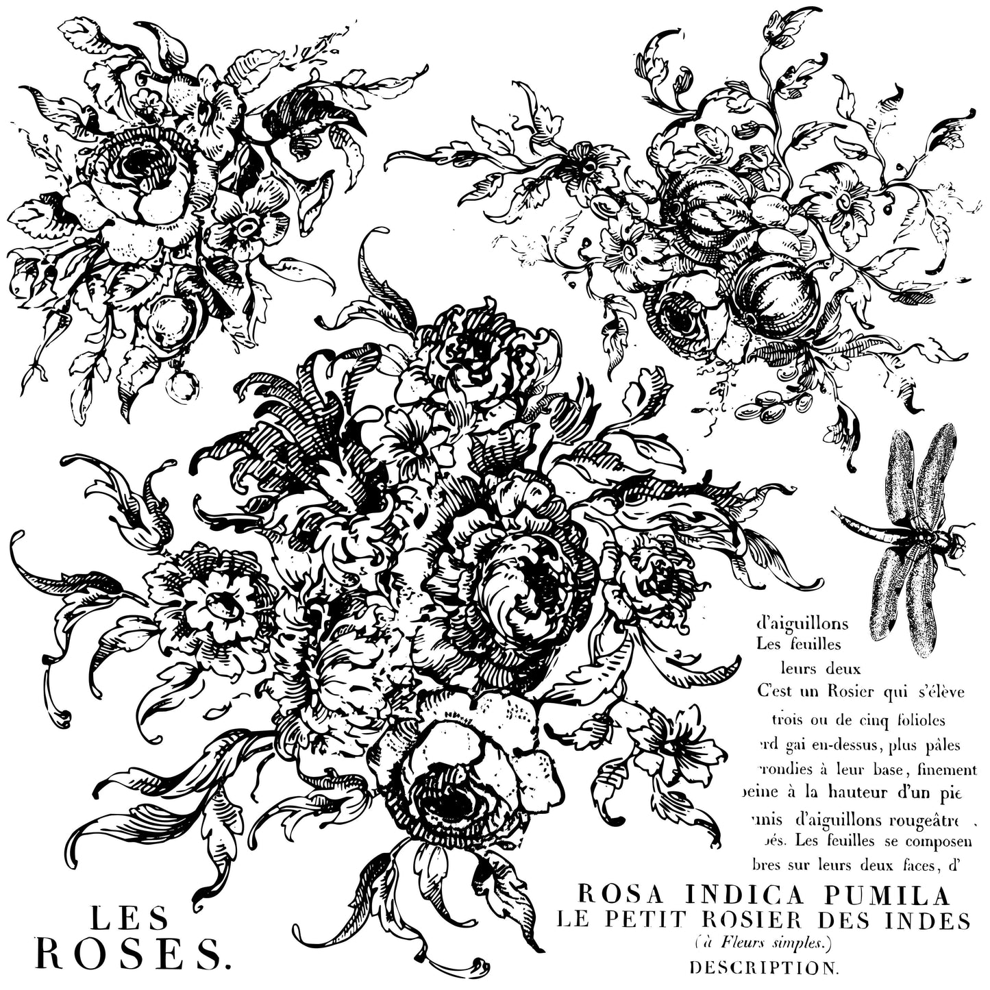 IOD Decor Stamp - Rose Toile