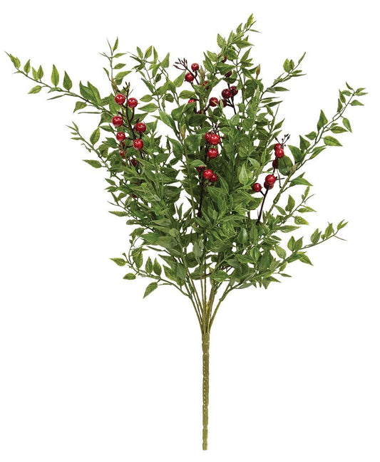 Col House Designs - Lady Ruscus & Berries Bush