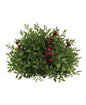 Col House Designs - Lady Ruscus & Berries 8.5" Half Sphere