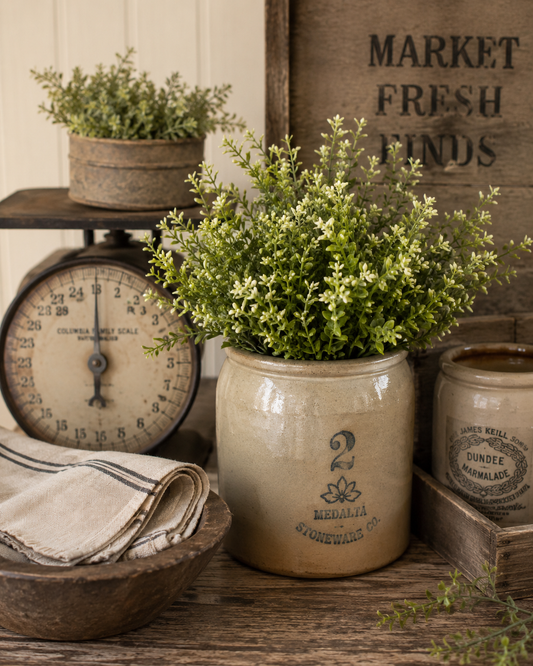 Ragon House - 13” New England Boxwood & Berries Bush