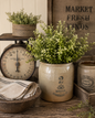 Ragon House - 13” New England Boxwood & Berries Bush