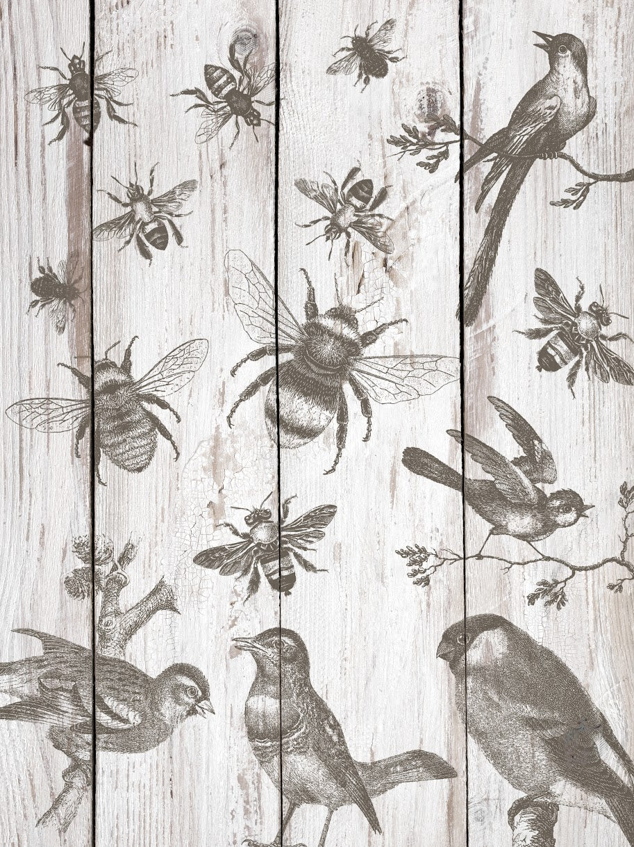IOD Decor Stamp - Birds & Bees