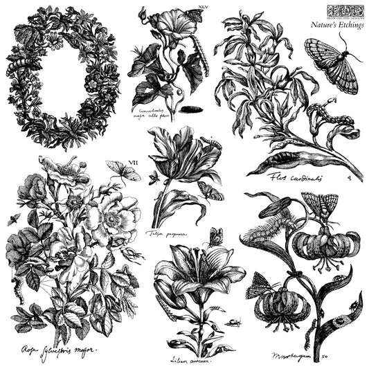 IOD Decor Stamp - Nature’s Etchings