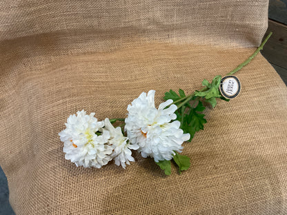 Ragon House - 24” White Zinnia Spray