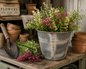 Ragon House - Rustic Metal Bucket Planter