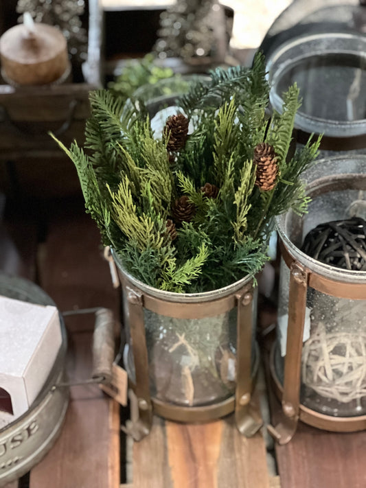 Ragon House - 15” Pine & Cyprus Bush