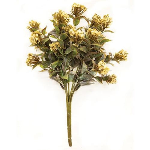 Bouquet of cream flowers surrounded by green leaves.