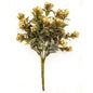 Bouquet of cream flowers surrounded by green leaves.