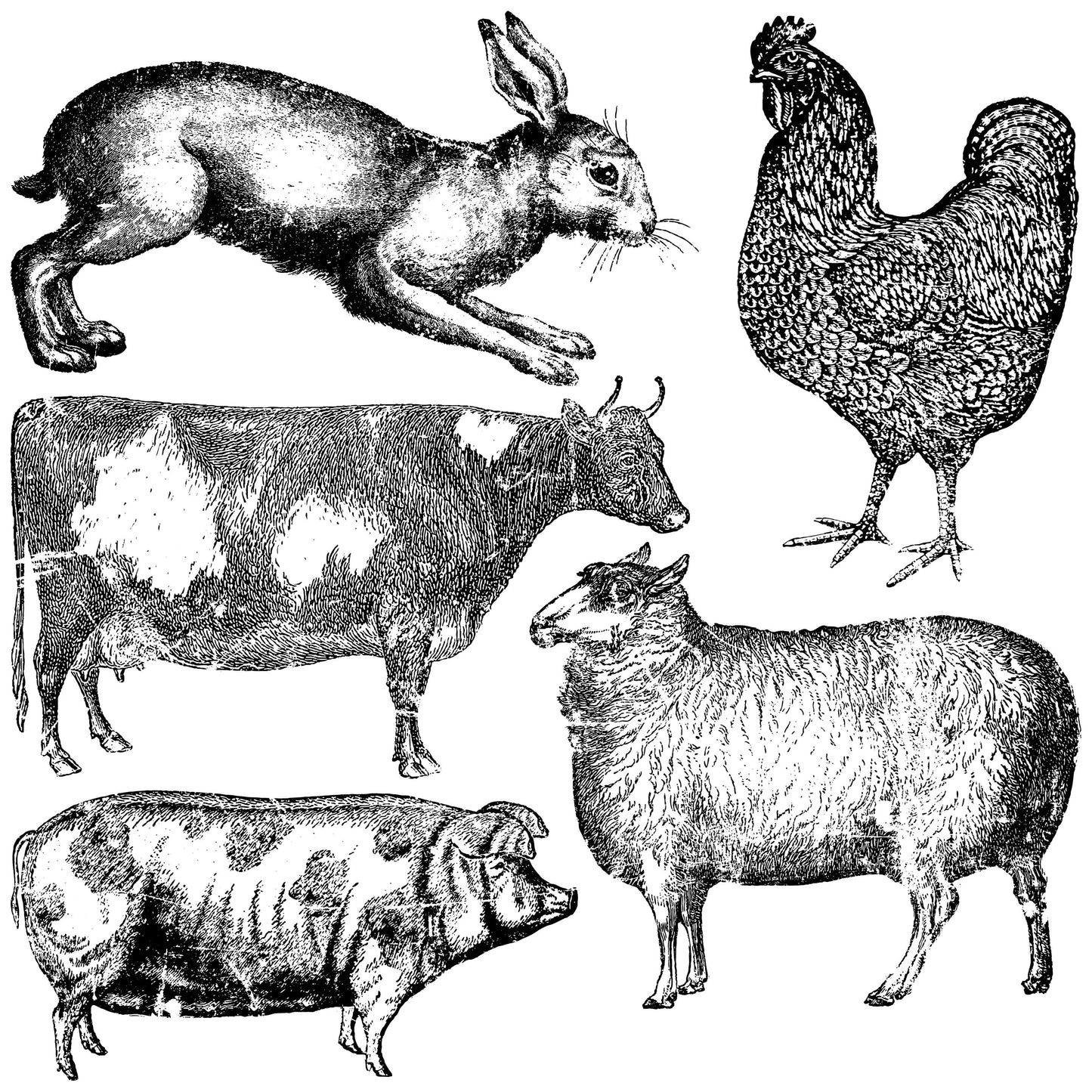 IOD Decor Stamp - Farm Animals