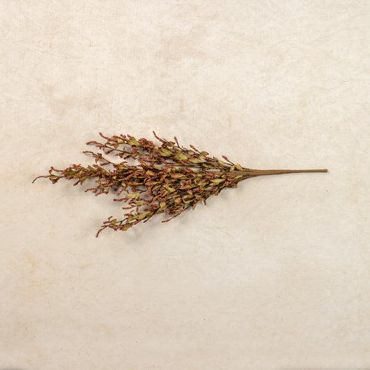 Ragon House - Rust Heather Bush