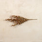 Ragon House - Rust Heather Bush