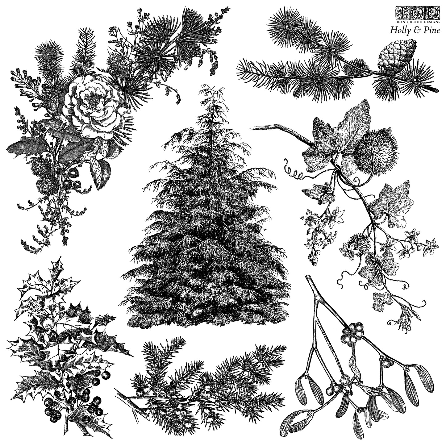 IOD Decor Stamp - Holly & Pine