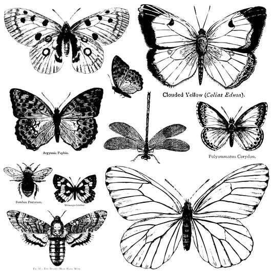 IOD - Decor Stamp Butterflies