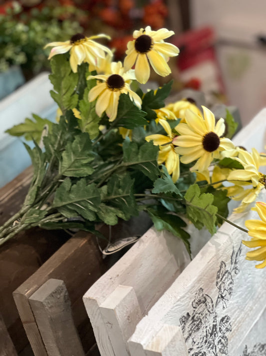 Ragon House - Black Eyed Susan Stem