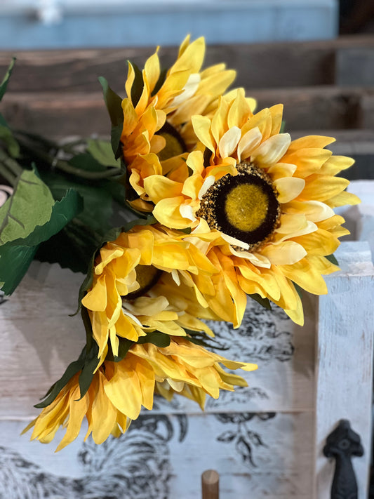 Ragon House - Sunflower Stem