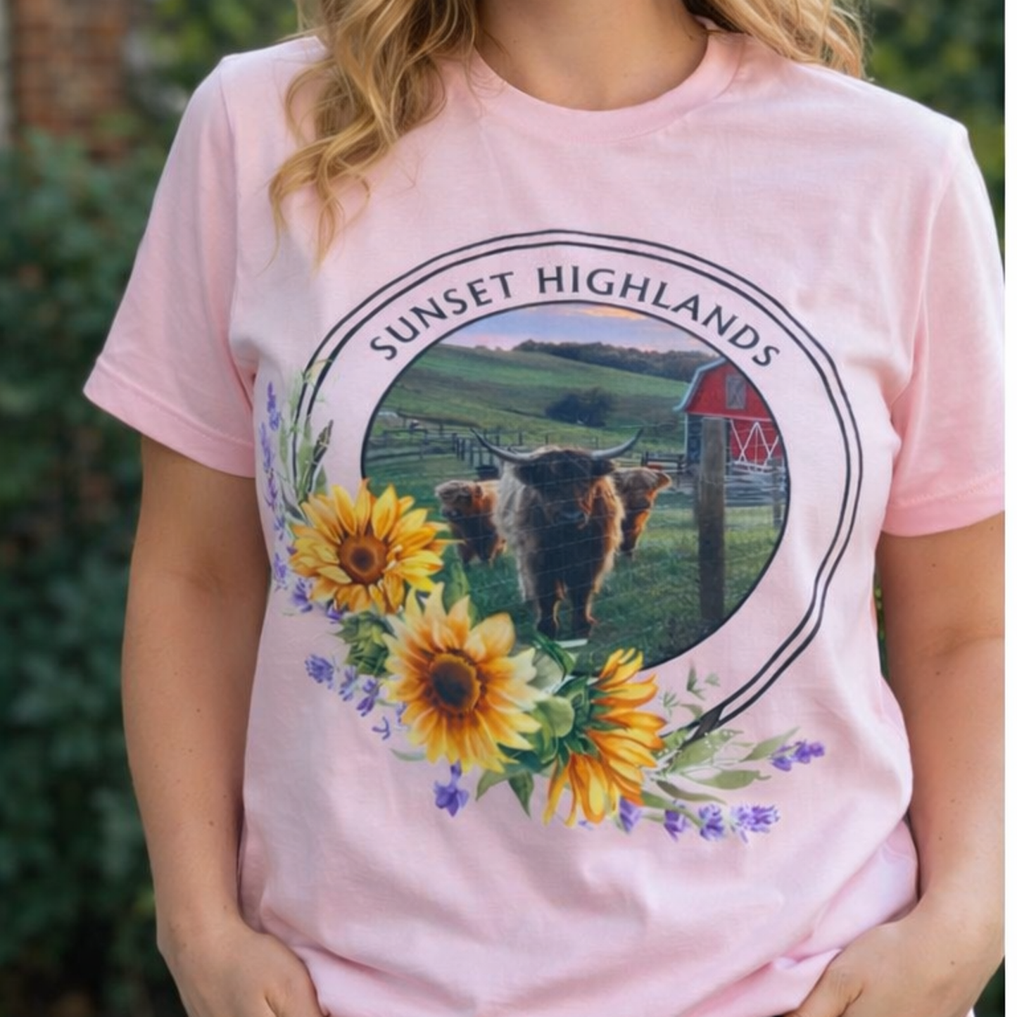 Sunset Highlands Tee - Our own Cows!