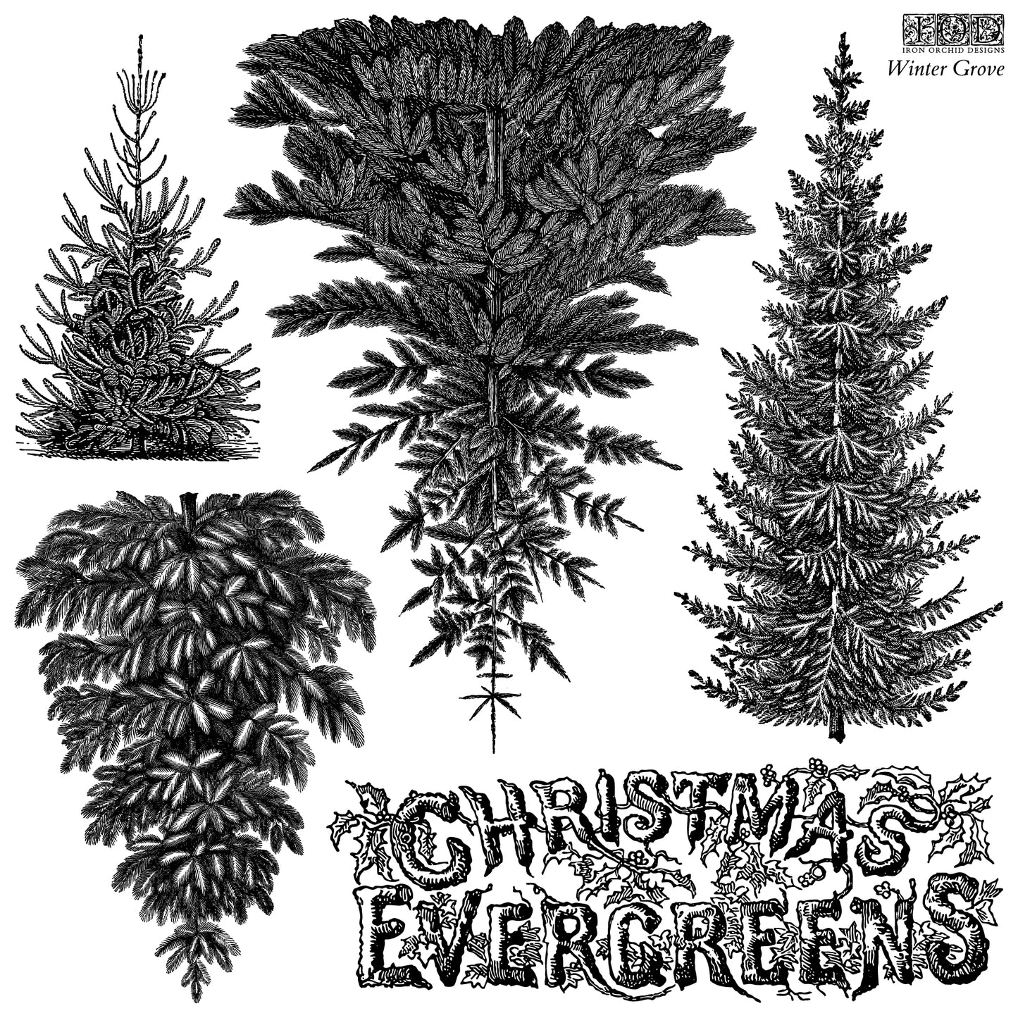 IOD Decor Stamp - Winter Grove
