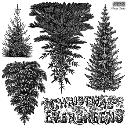 IOD Decor Stamp - Winter Grove
