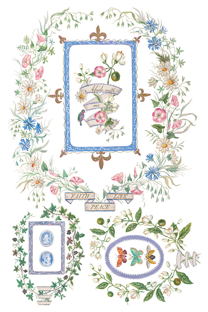IOD Transfer - Emily Clare