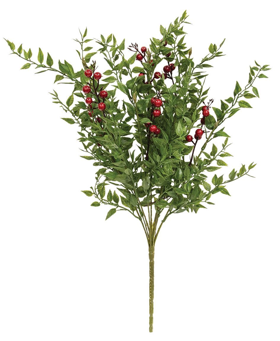 Col House Designs - Lady Ruscus & Berries Bush